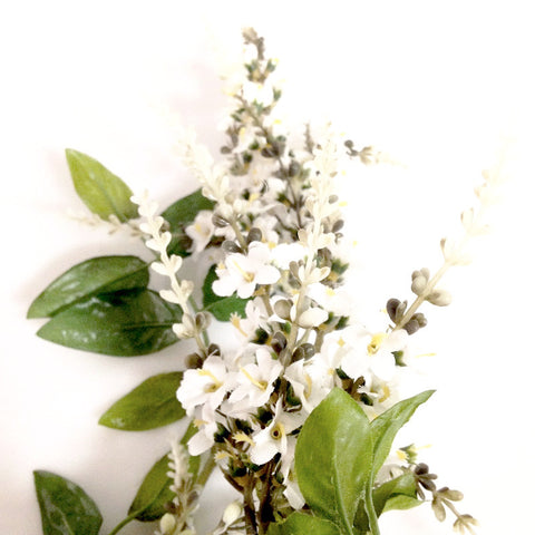 Flowers White Lupine