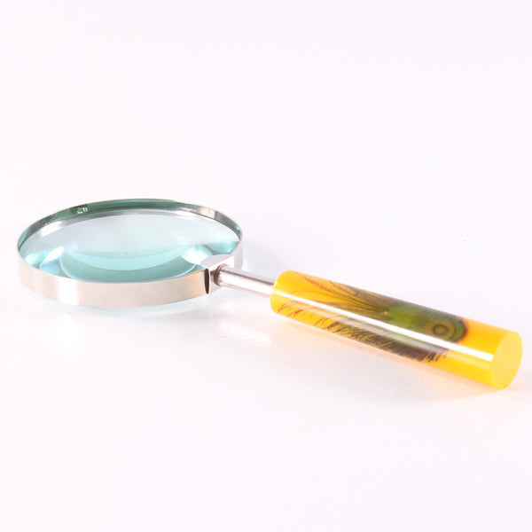 Magnifying Glass Pavo