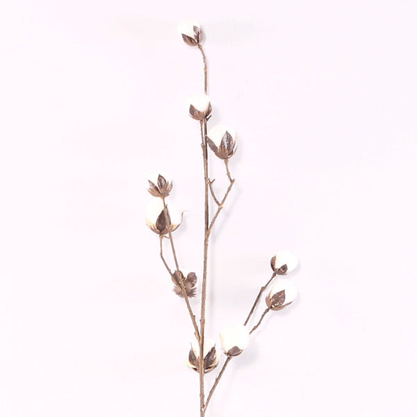 Flower Cotton Branch