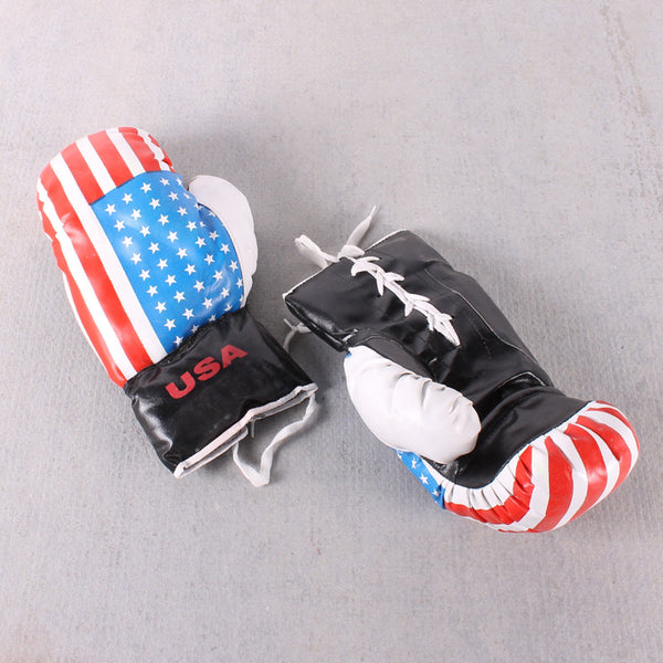 Boxing Glove USA