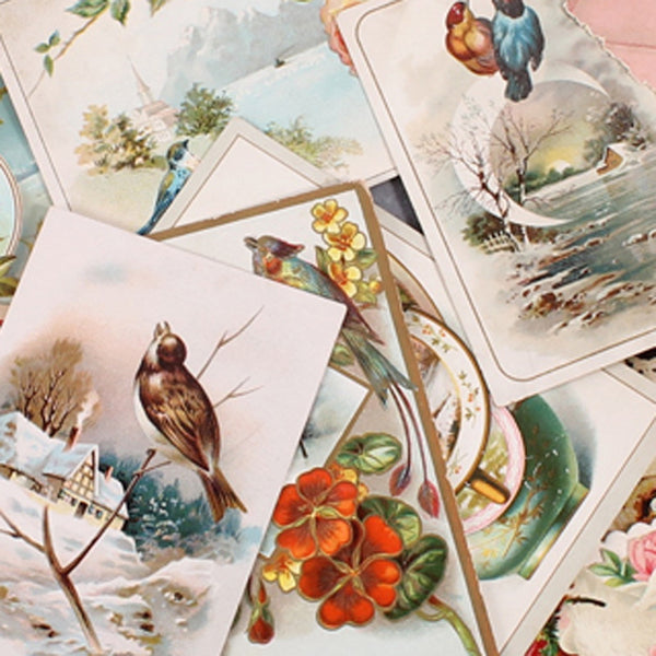 Vintage Cards Bird