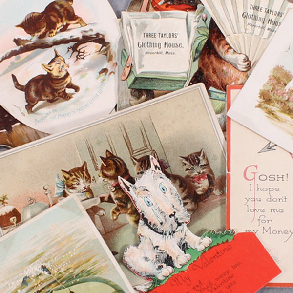 Vintage Cards Animal