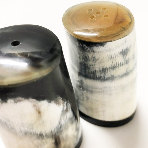 Salt & Pepper Shakers Horn