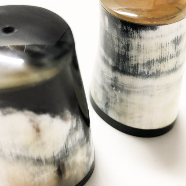 Salt & Pepper Shakers Horn