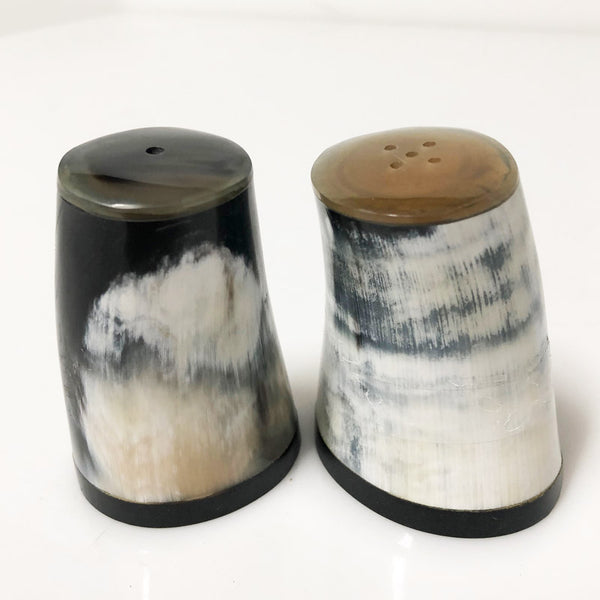 Salt & Pepper Shakers Horn