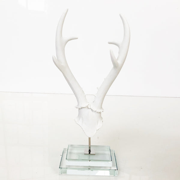 Antlers on Stand