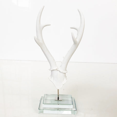 Antlers on Stand