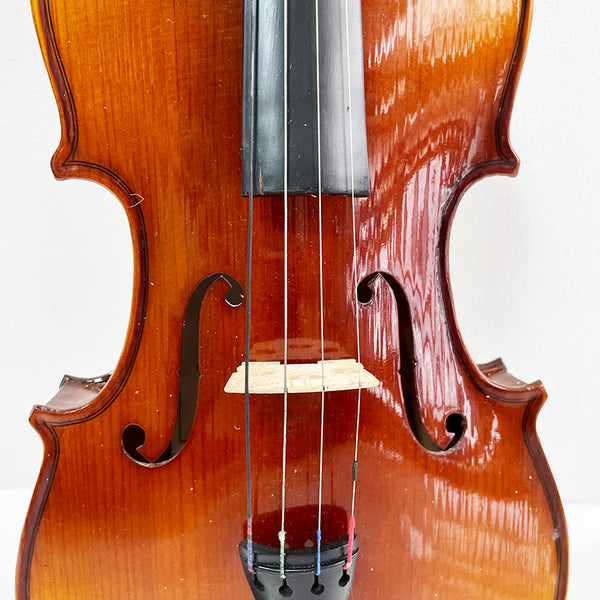 Violin Ali