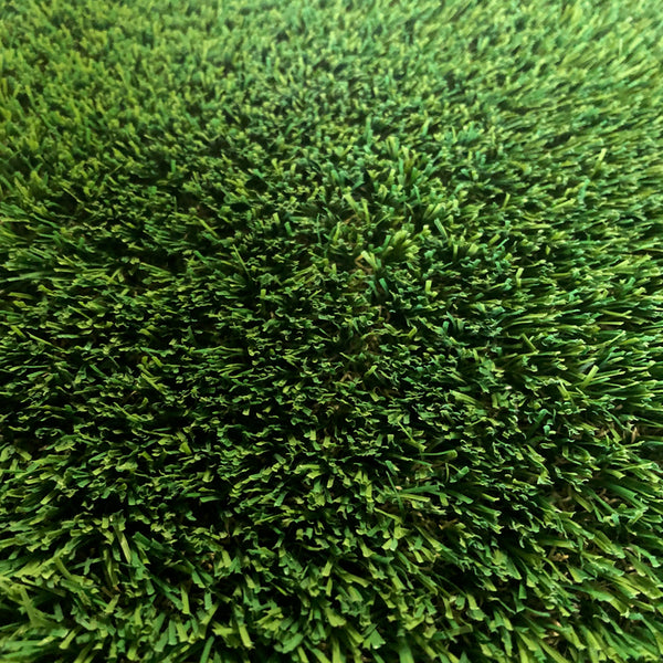 Grass Whitney 10 x 15