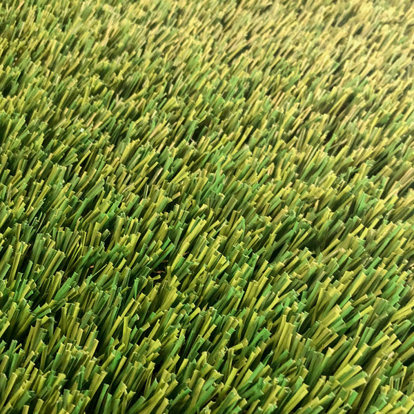 Grass Whitney 10 x 15