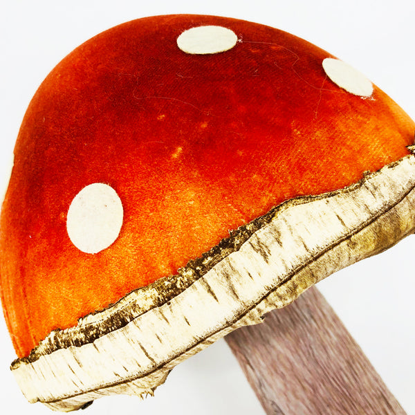 Mushroom Nadi