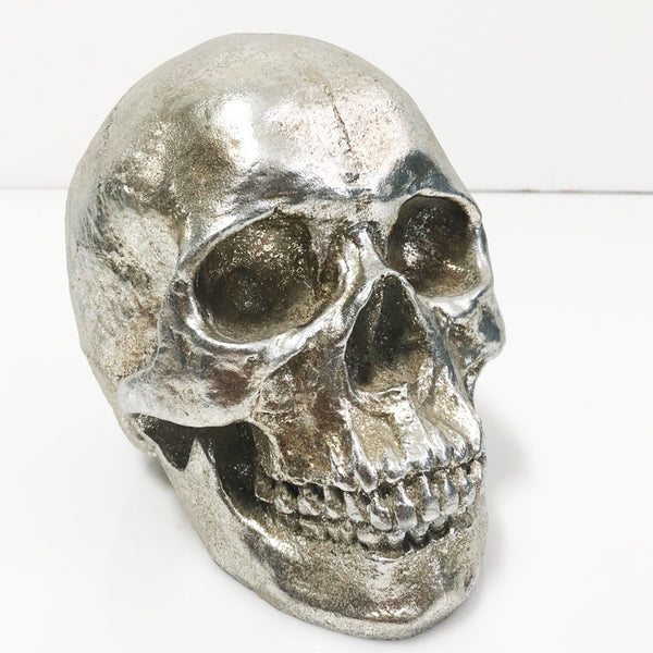 Skull Bristol