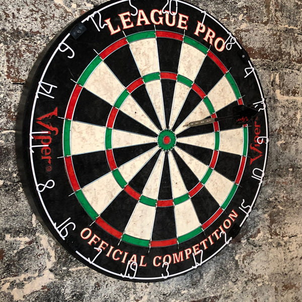 Dart Board Barry