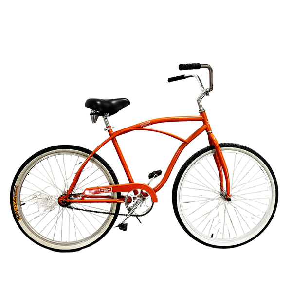 Bike Cane