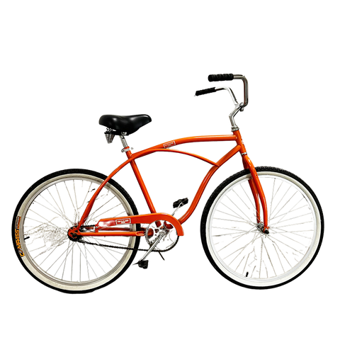 Bike Cane