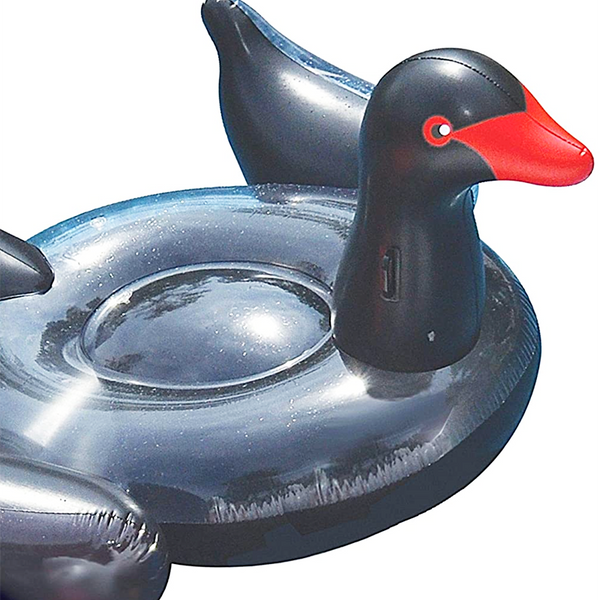 Inflatable Black Swan